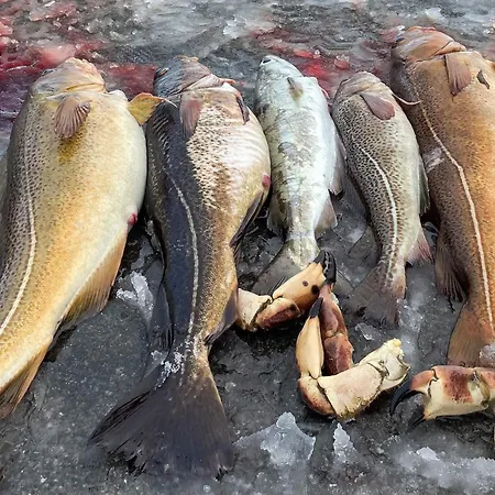 Σπίτι διακοπών 12 Person In Davik