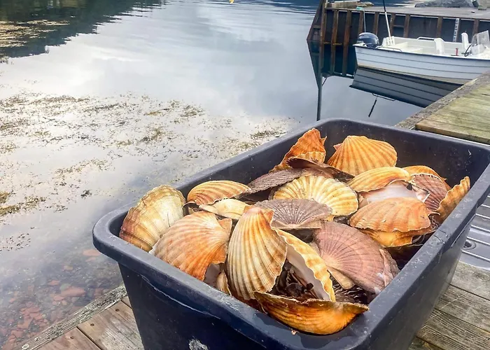 12 Person In Davik Feriehus *