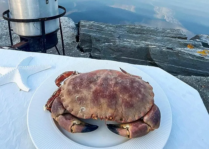 12 Person In Davik *