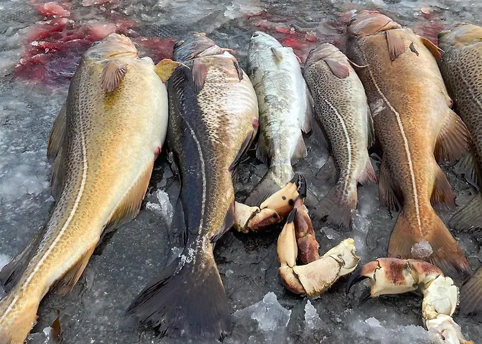 Vakantiehuis 12 Person In Davik