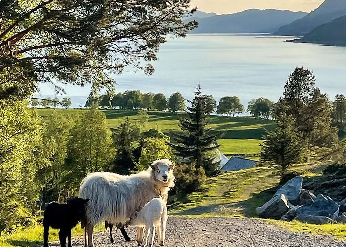 Feriehus 12 Person In Davik